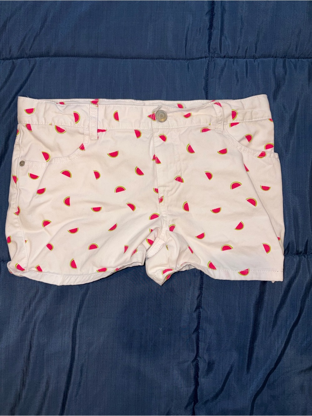 The Children’s Place Girls Watermelon Print Shorts Size 12 Plus